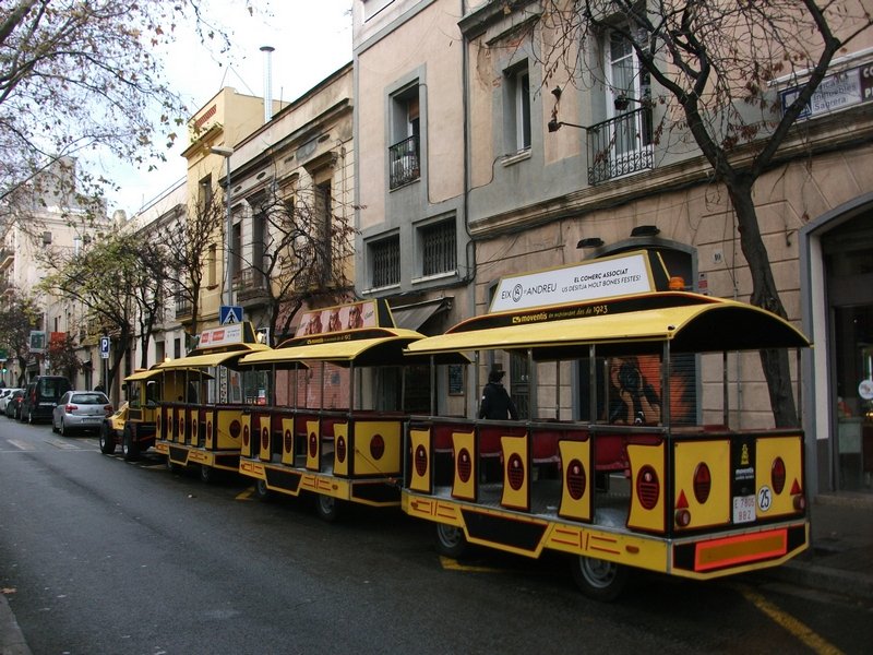 DSCF8459.JPG